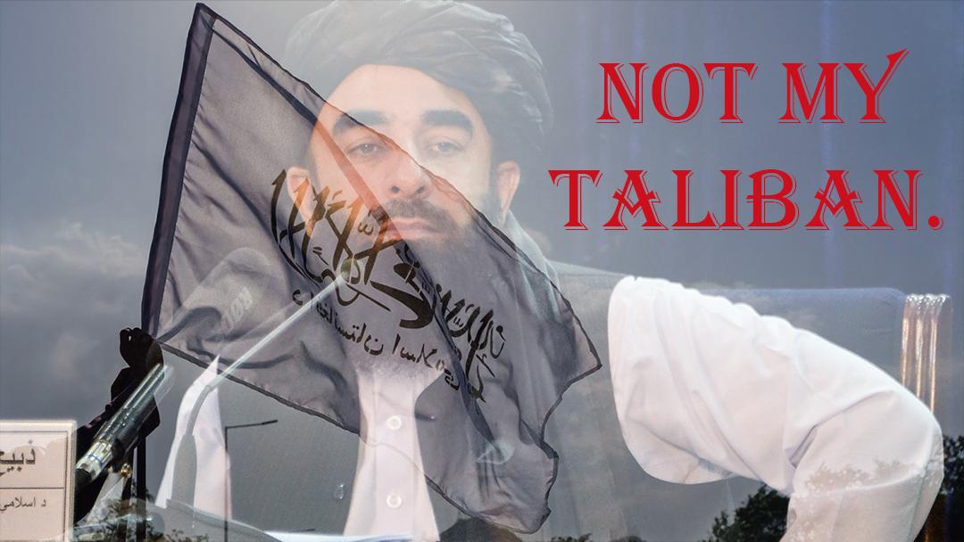 Moderate Taliban